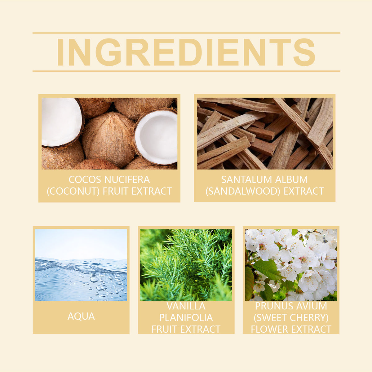 Roxelis Vanilla Coconut Body Spray